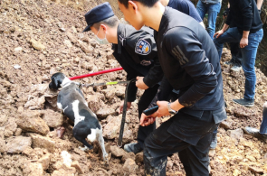 警犬搜尸！深埋地下7米，17年前尸骨重见天日